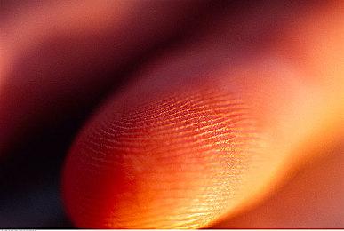 据传微软今年可能会公布新的与xbox相关的硬件产品